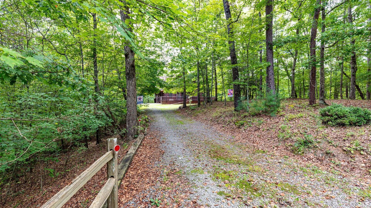Mineral Bluff Cabin | Dancing Bears Cabin - Secluded 3-Bedroom, 3.5-Bath Luxury Cabin with Hot Tub