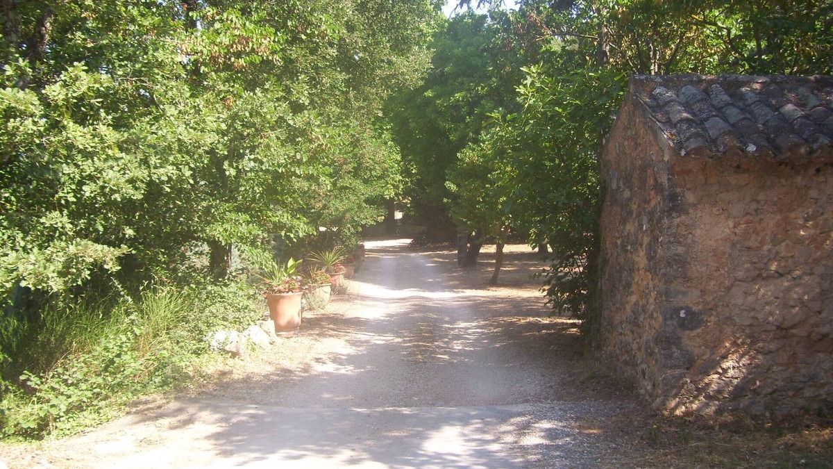 Flassans-sur-Issole House | Dans un Domaine Viticole-grande Maison Datant de 1830 Environ