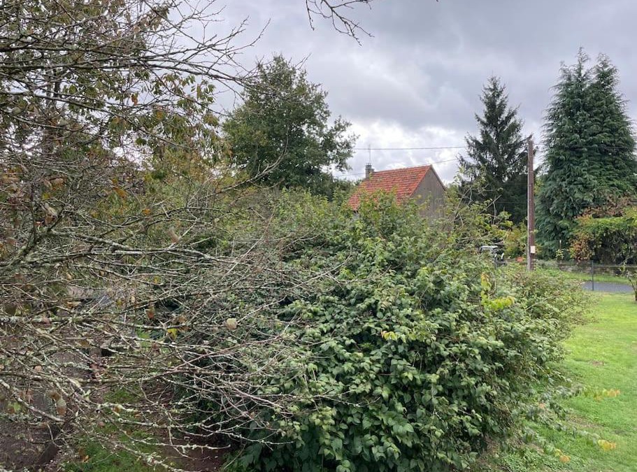 Saint-Pierre-Bellevue House | Dans un petit village de creuse grande maisoncampagne