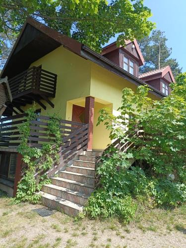 Narty Cabin | Dar Lasu