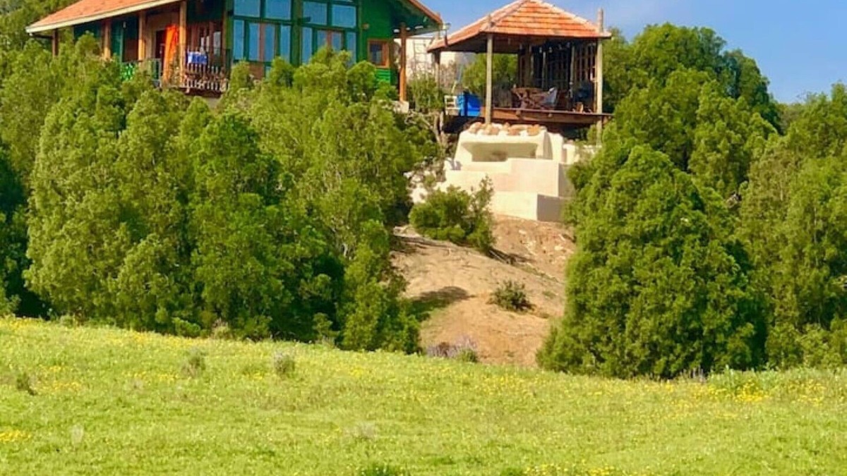 Hammam Bent Djedidi House | Dar Lela, in the middle of beautiful nature