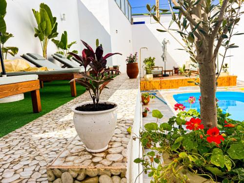 Tamraght House | Dar Surfana Morocco