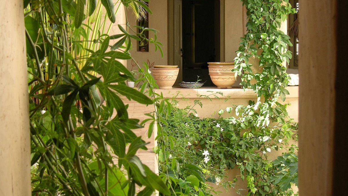 Taroudannt Bed & Breakfast | DarZahia