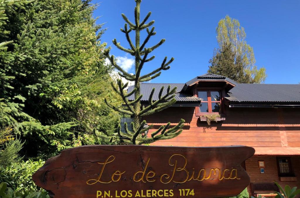 Villa Los Coihues Apartment | DAT "Lo de Bianca"