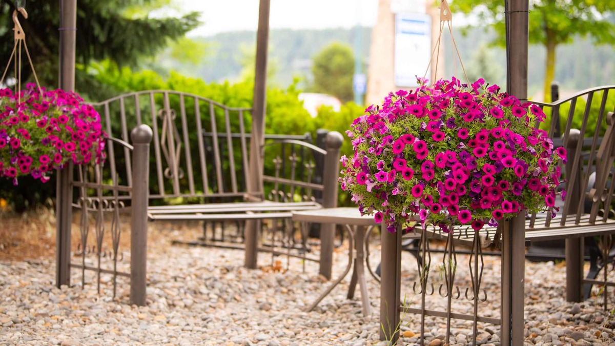 Coeur d'Alene Hotel | Days Inn by Wyndham Coeur d'Alene