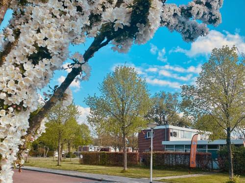 Nagele Bed & Breakfast | De bank van Nagele
