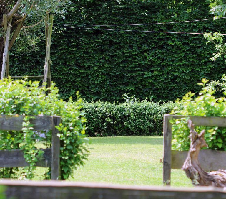 Waarschoot House | De Cameleon