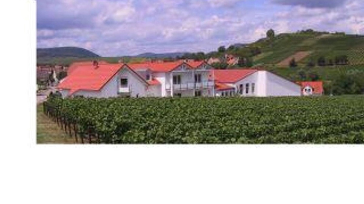 Ilbesheim Bed & Breakfast | 2-bed apartment "2" - Weingut-Gästehaus Hans Dieter Bosch