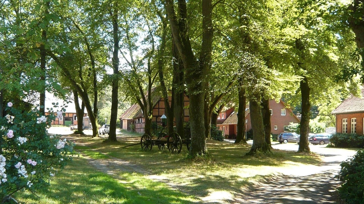 Marxen am Berge Apartment | Picturesque farm in the Lüneburg Heath, holiday apartment, pony rides