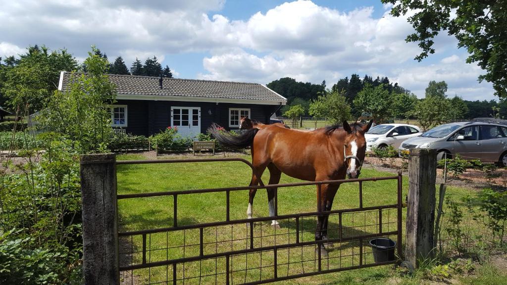 Laag-Soeren Bed & Breakfast | De Priesnitzhoeve