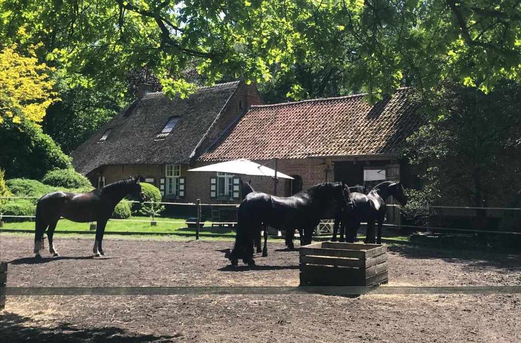 Zoersel House | de Swaenhoeve