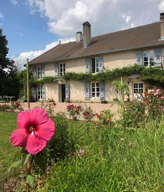 Betaucourt Bed & Breakfast | Dealettante