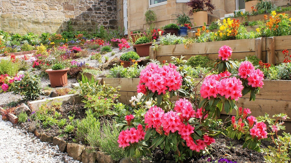 Kilmarnock House | Dean Park Guest House