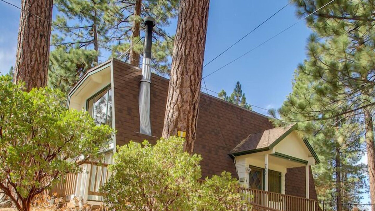 Summit Estates Cabin | Decorated for Christmas! Walk to Snow Summit! Pet friendly!