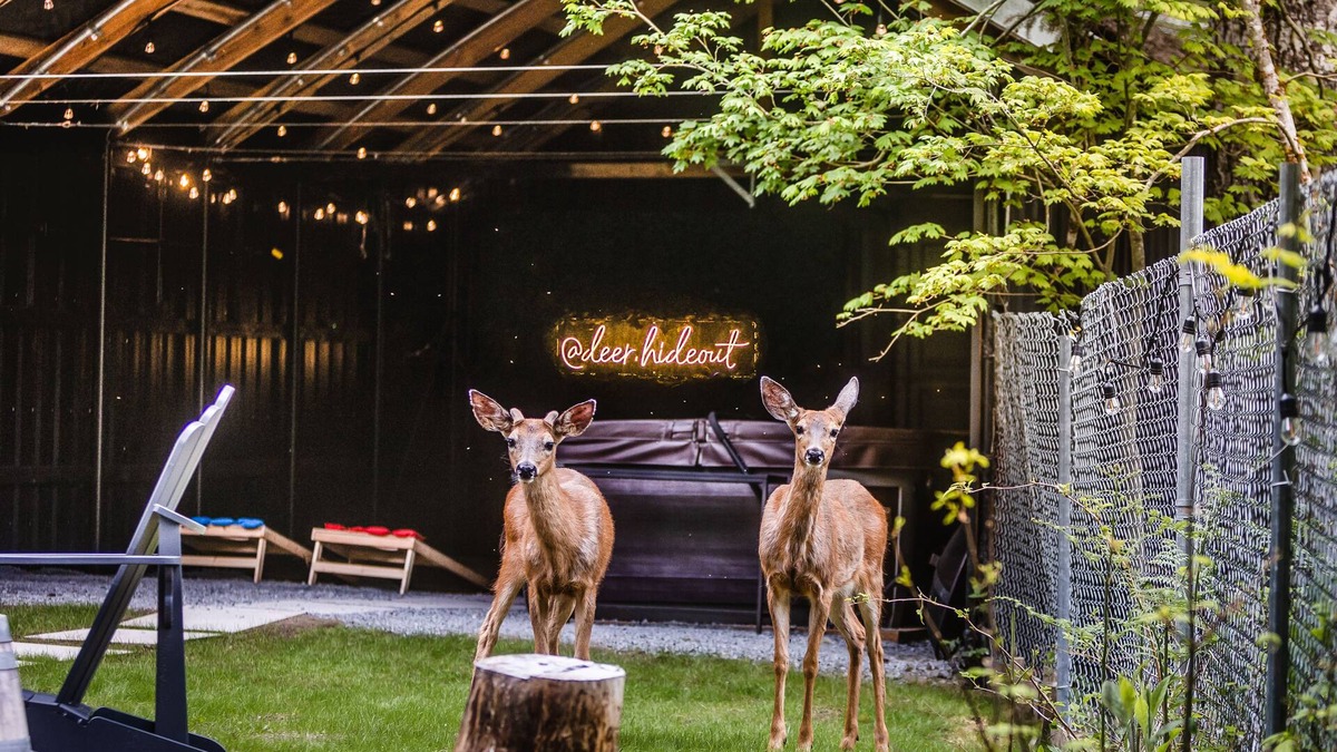 Paradise Estates Cabin | Deer Hideout - King bed/HS WiFi/Hot Tub/Fire Pit