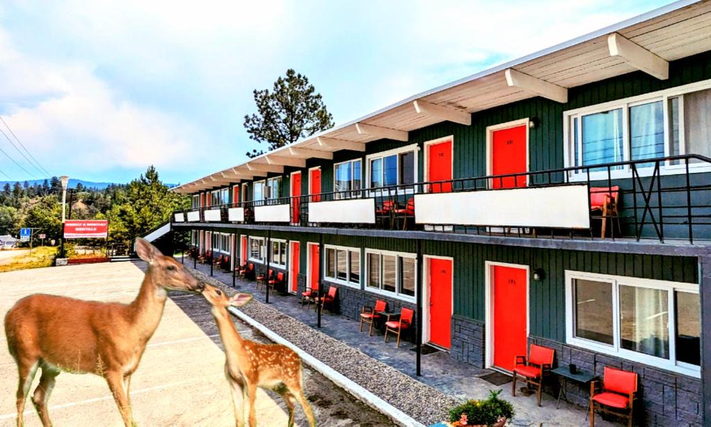 Okanagan-Similkameen Hotel | Deerview Lodge & Cabins - Princeton BC