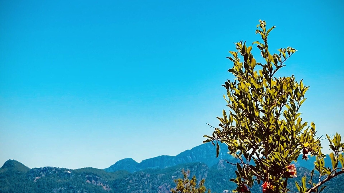 Selimiye Apartment | Defne Residence Selimiye. The elegant address for holiday