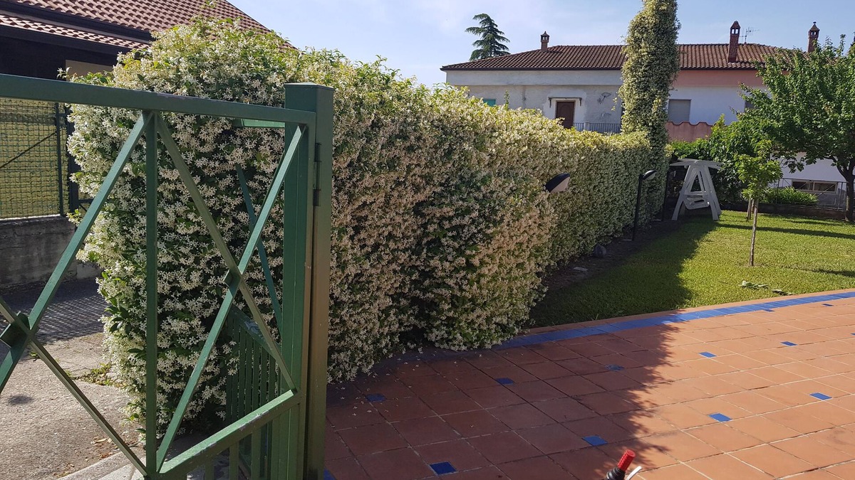 Marina di Casal Velino Villa | Delightful Cottage with Garden