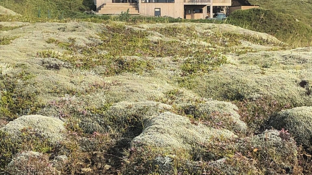 Fludir Cottage | Delightful mountain-view cottage in Golden Circle with outdoor Hot Tub & Sauna