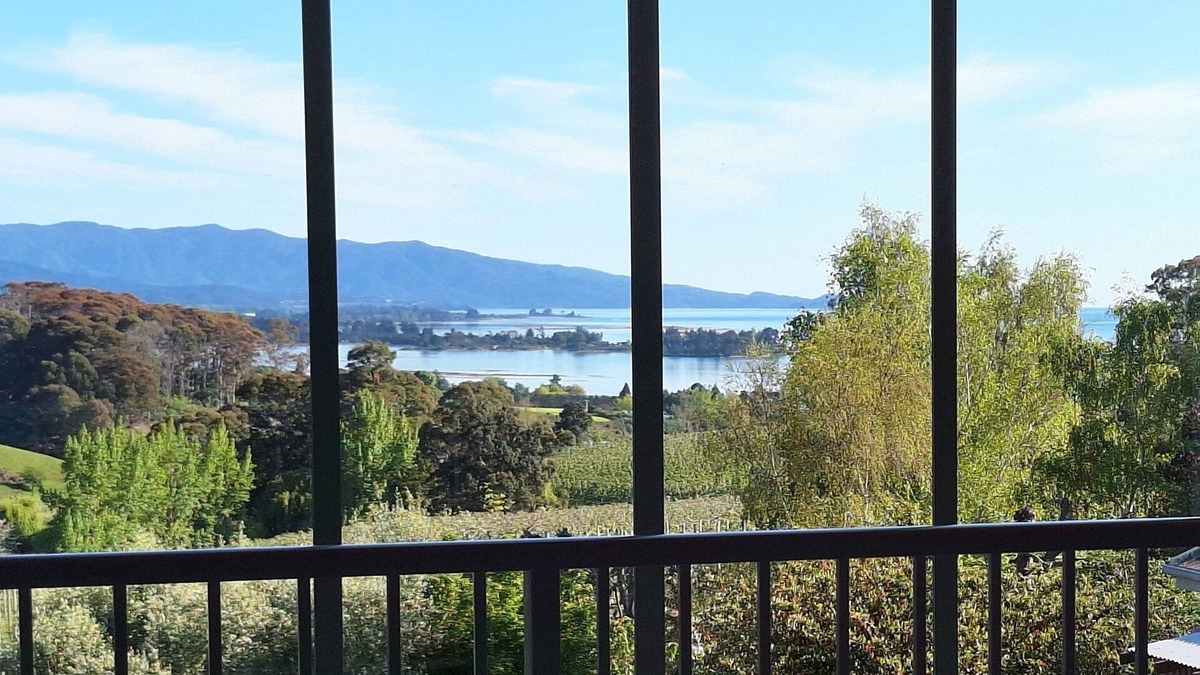 Tasman Cottage | Delightful sunny house with stunning rural & ocean views, swimming pool & spa