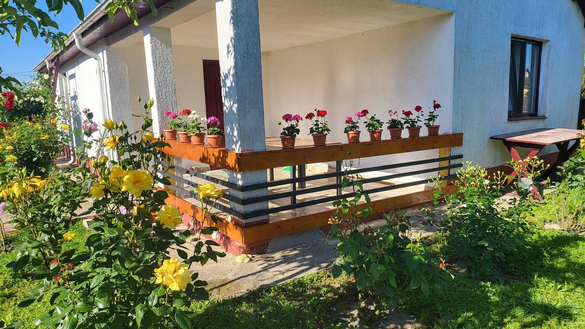 Crisan House | Delta crisan flamingo