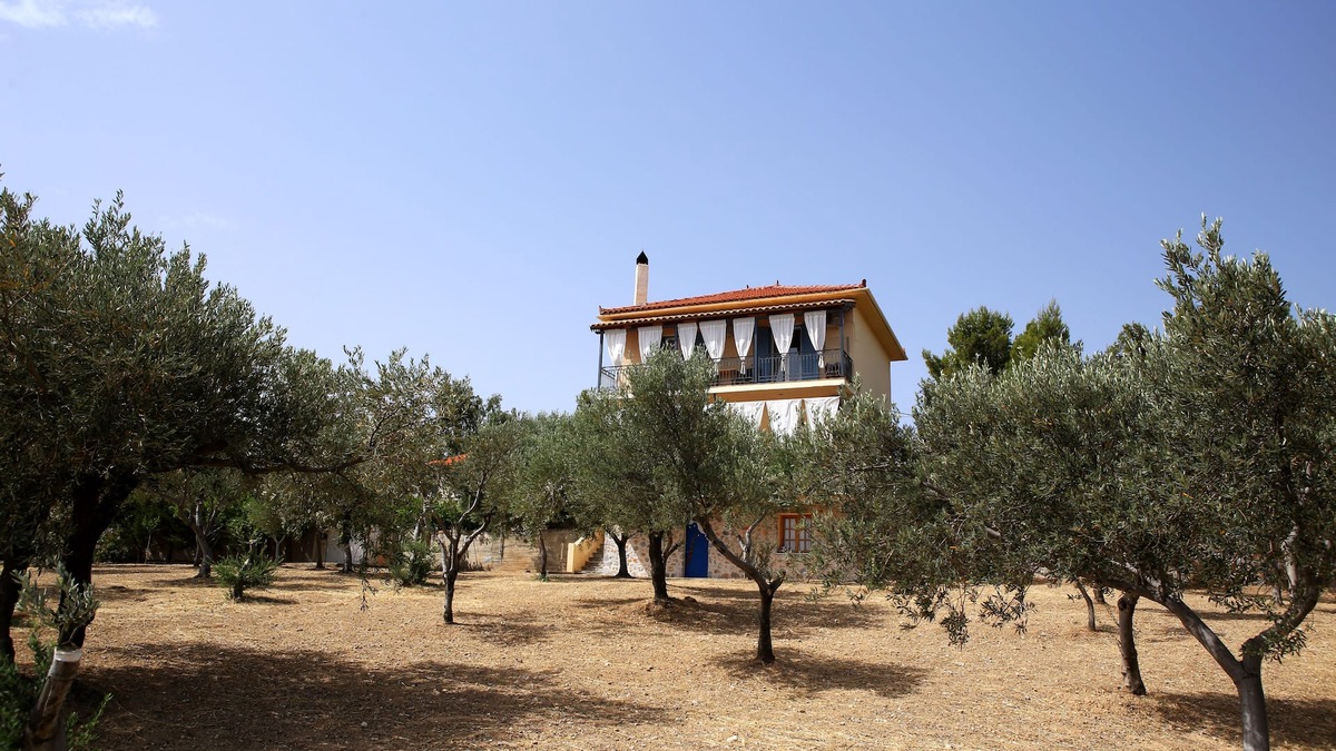Galaxidi Apartment | Deluxe Apartment Sea View [60m²] - Dafni