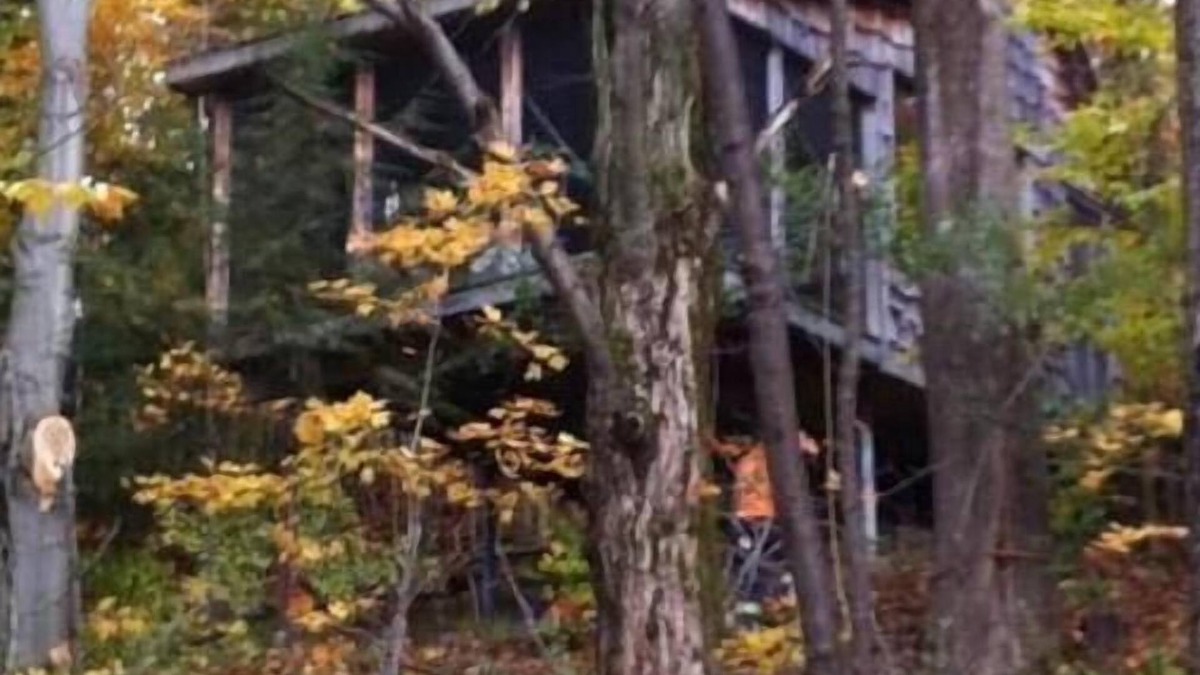 Durham Region Cabin | Deluxe Tree House 1 Hour from Toronto