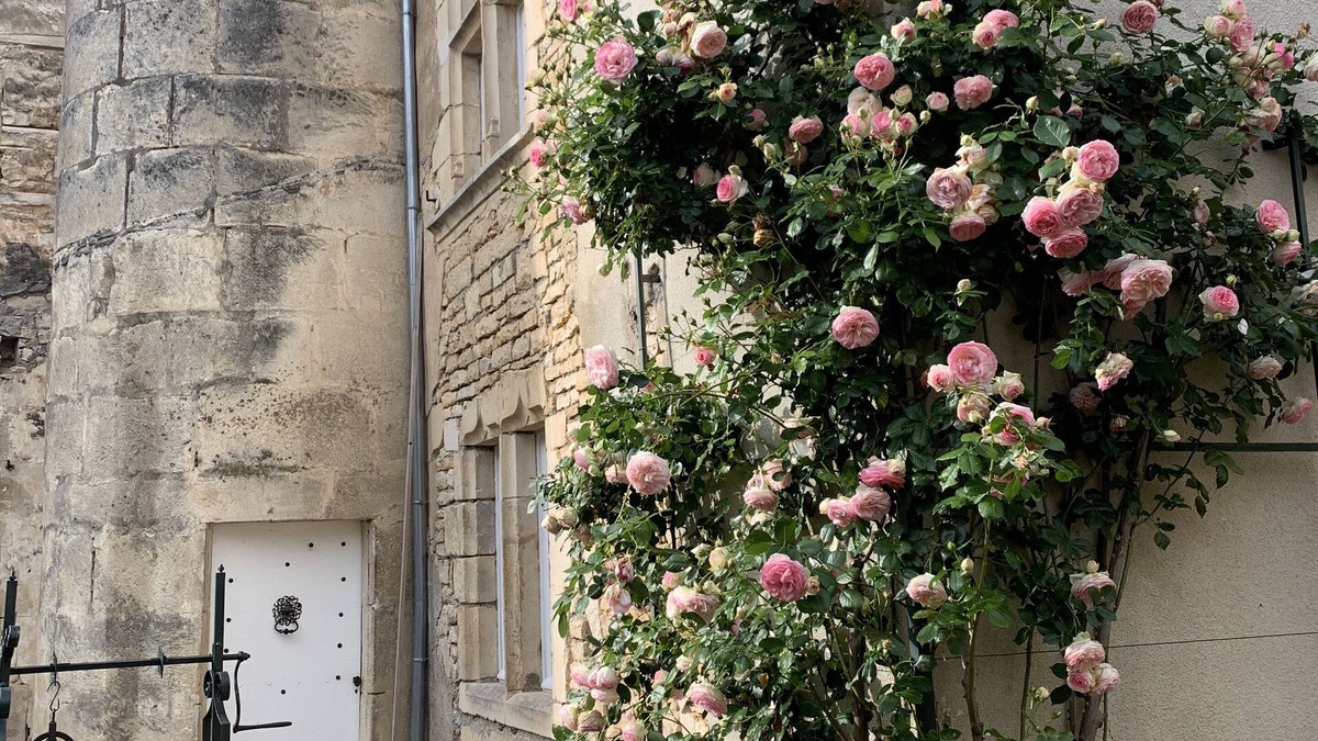Framont House | Demeure de la tour ronde