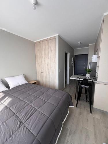 Pitrufquen Apartment | Departamento Estudio, Pitrufquén