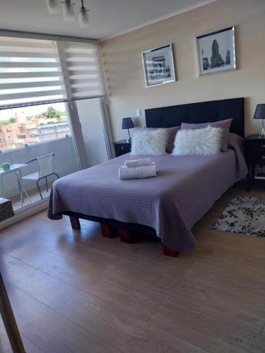 Chillan Apartment | Depto studio chillan