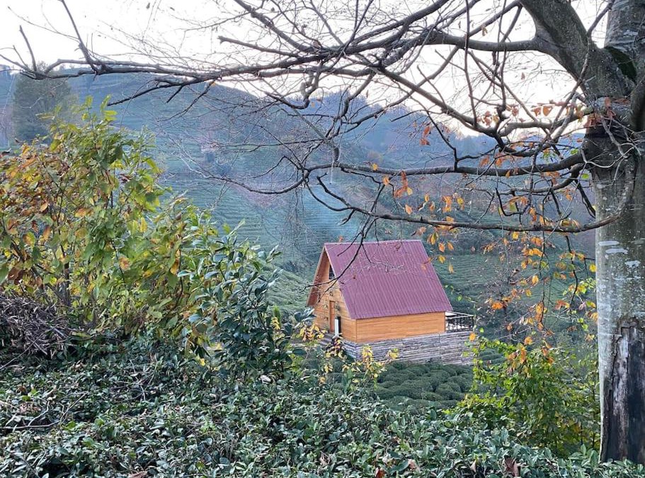 Derepazarı Ski Chalet | Derepazarı/Rize -Bungalov