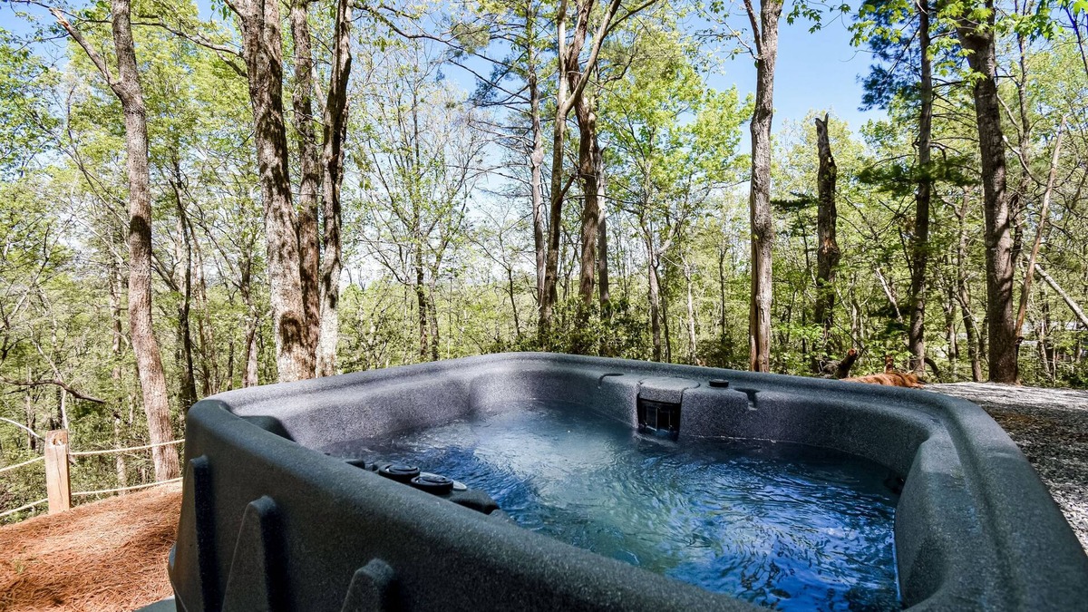 Clarkesville Cabin | Designer hideaway in secluded location w/ amazing mountain-forest-view-Dogs ok