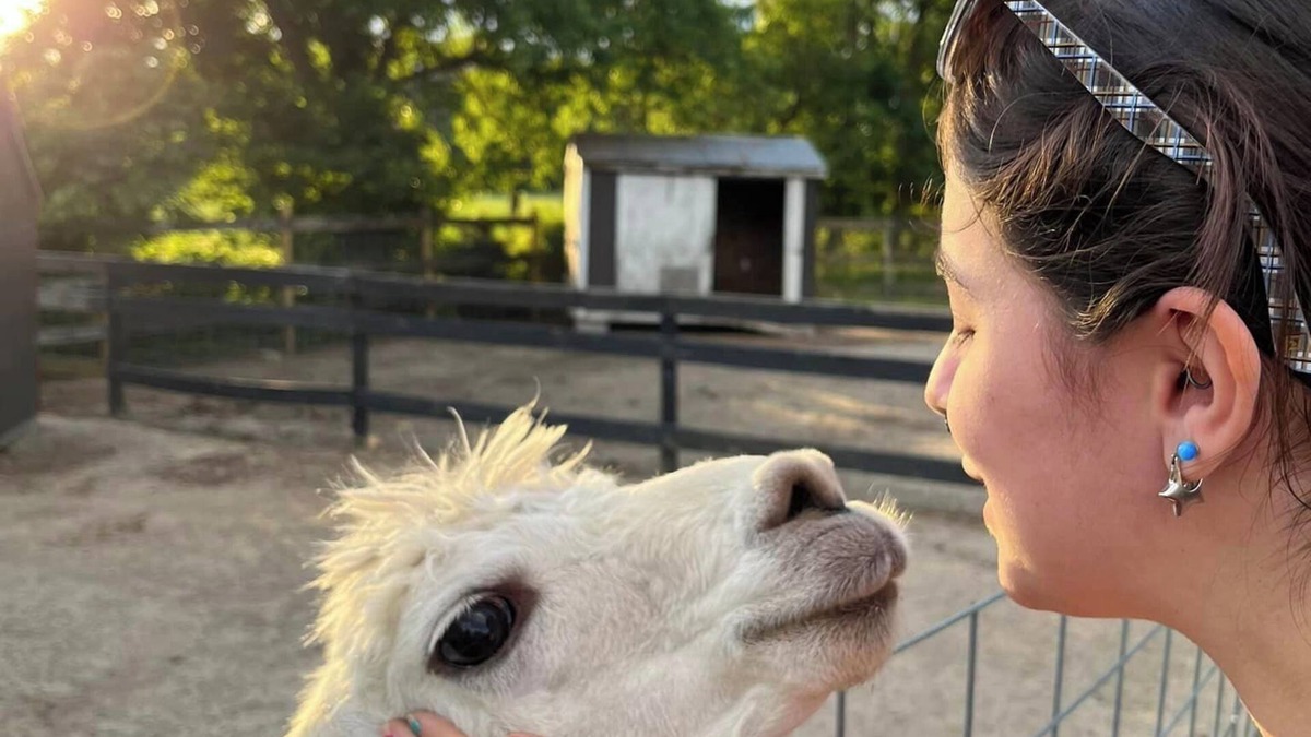 Selbyville Cottage | Destination Location! Farm Animals, Tours, Beaches