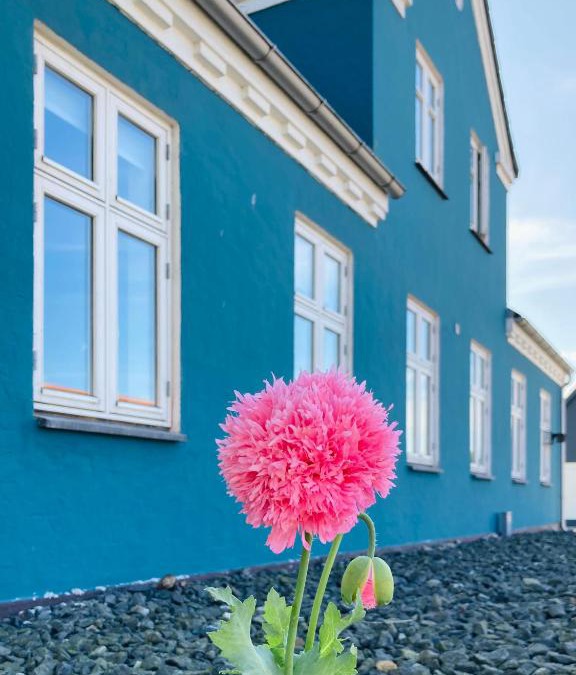Hals Apartment | Det blågrønne Hus