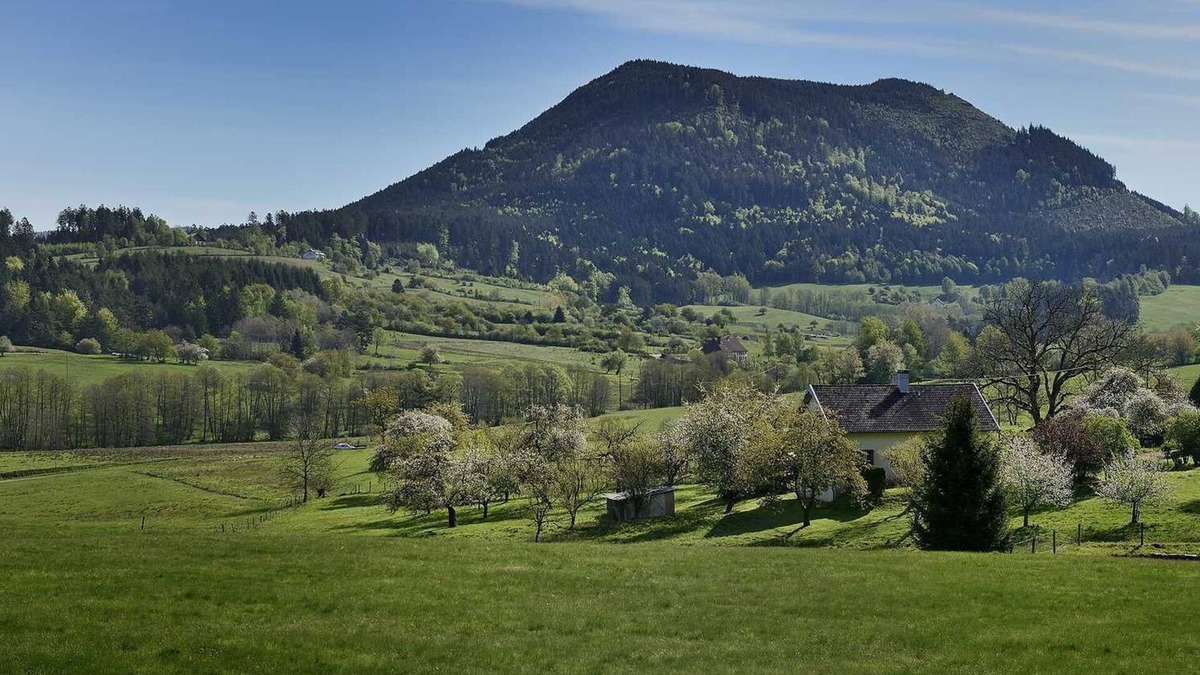 Saint-Die House | Detached house with character