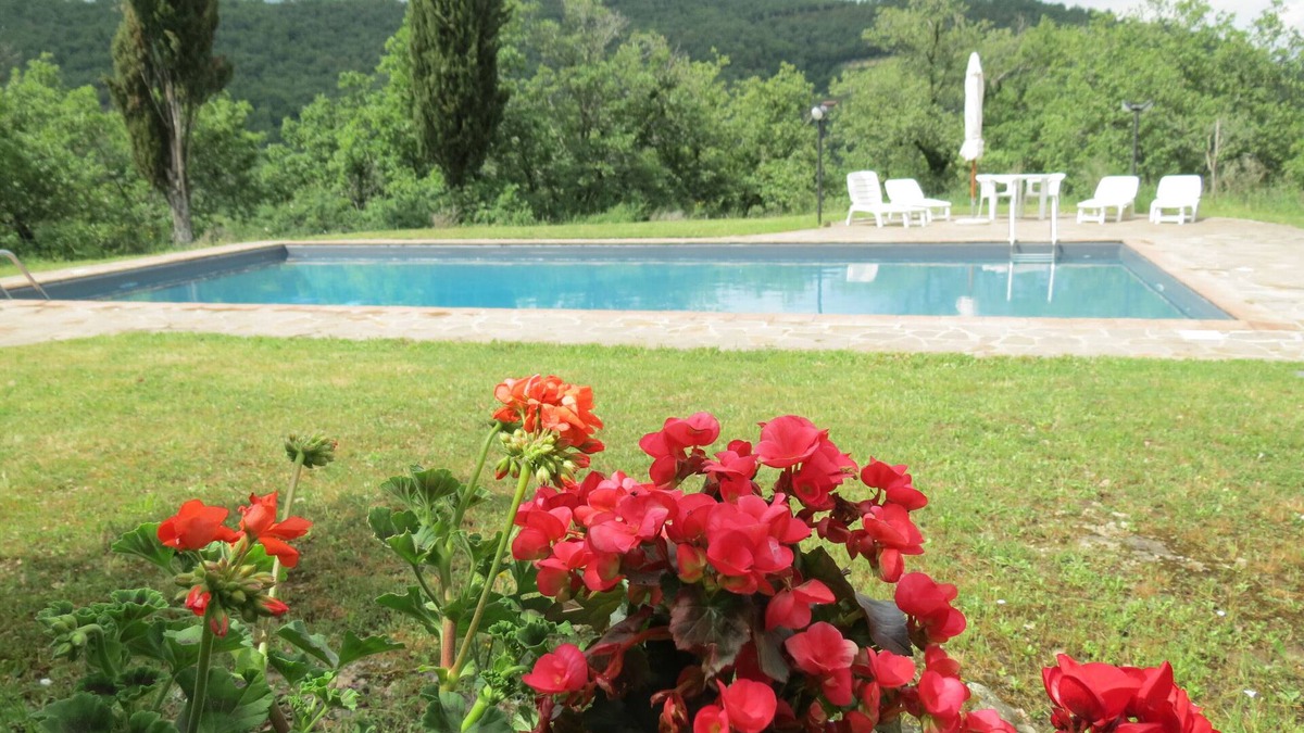 Gaiole in Chianti Cottage | Detached house in heart of Chianti Classico,pool,quiet panoramic position,WLAN