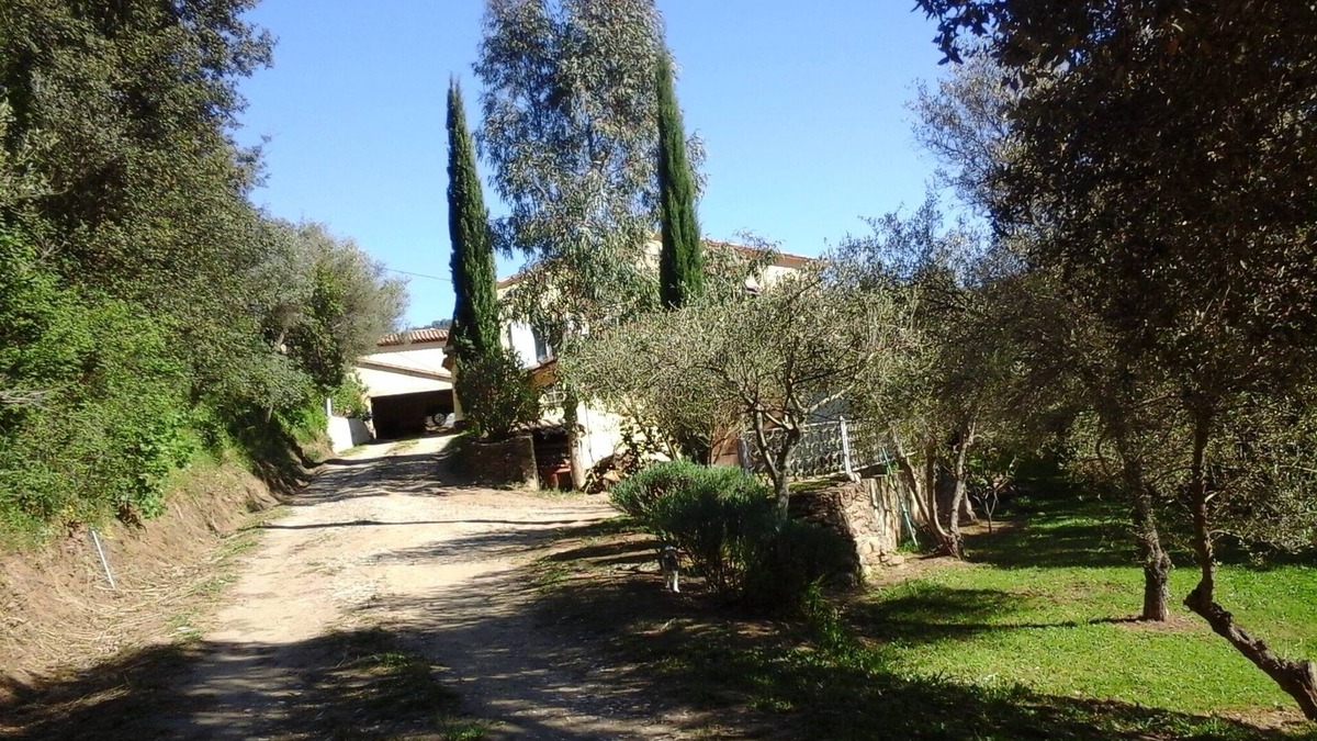 Collobrieres Villa | Detached villa in the Provencal countryside between Hyeres and St Tropez