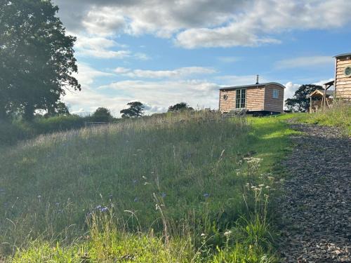 Chittlehampton House | Devon Peaceful shepherds hut with hammock