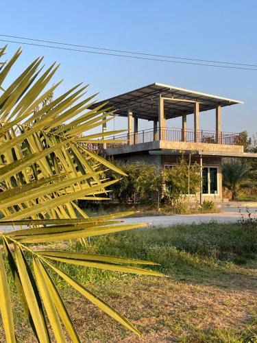 Phibun Mangsahan House | DHome and Gardens