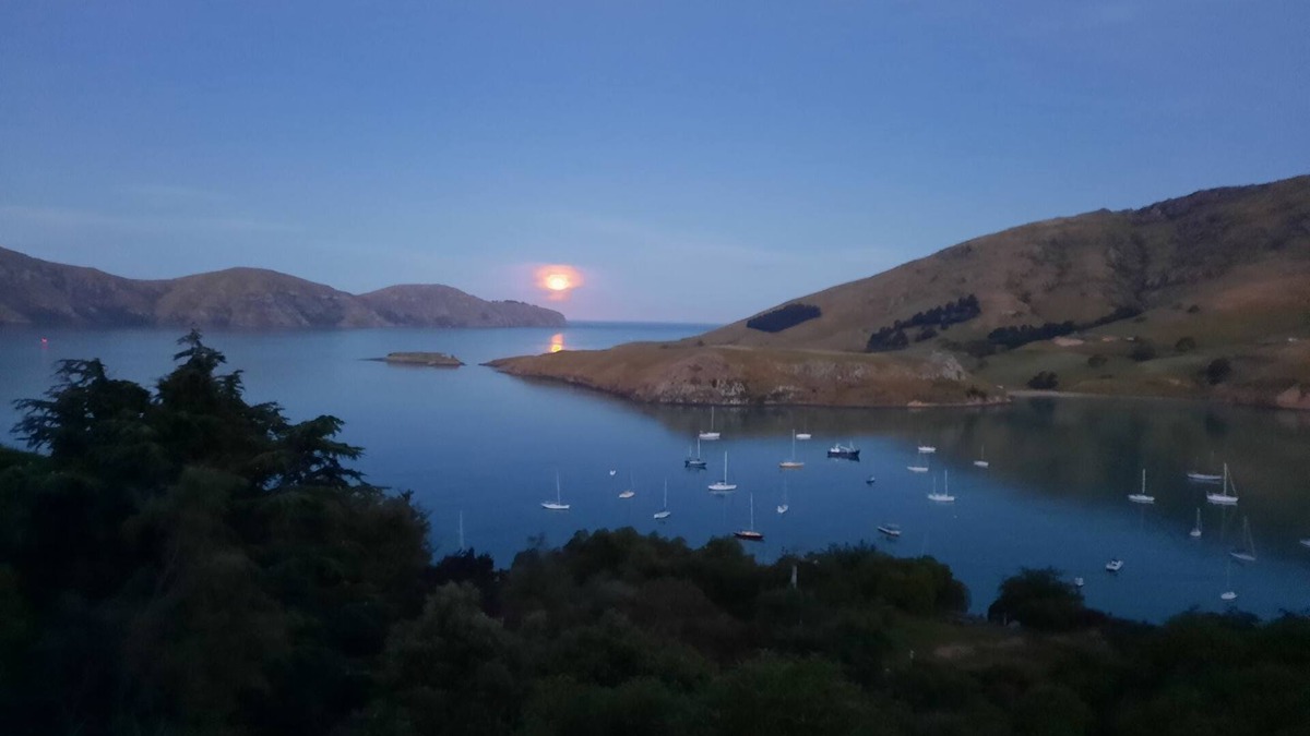 Diamond Harbour House | Diamond Harbour Hideaway Top Flat -Amazing views