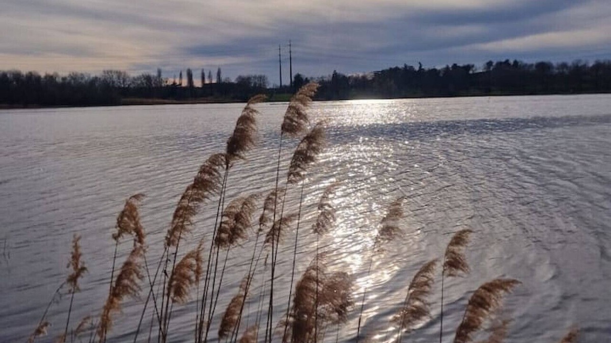 Front de Lac Bed & Breakfast | Diamond Room - 2O min to Paris
