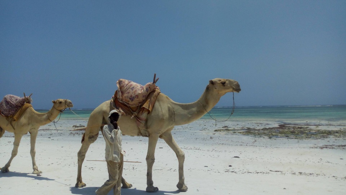 Ukunda Villa | Diani beach Kenya .A little paradise on Earth