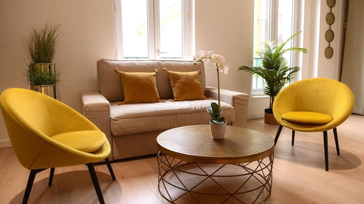 Faubourg Sud Apartment | Dijon Hyper Centre : Apartment 41m² Facing Museum, Monuments and Restaurants