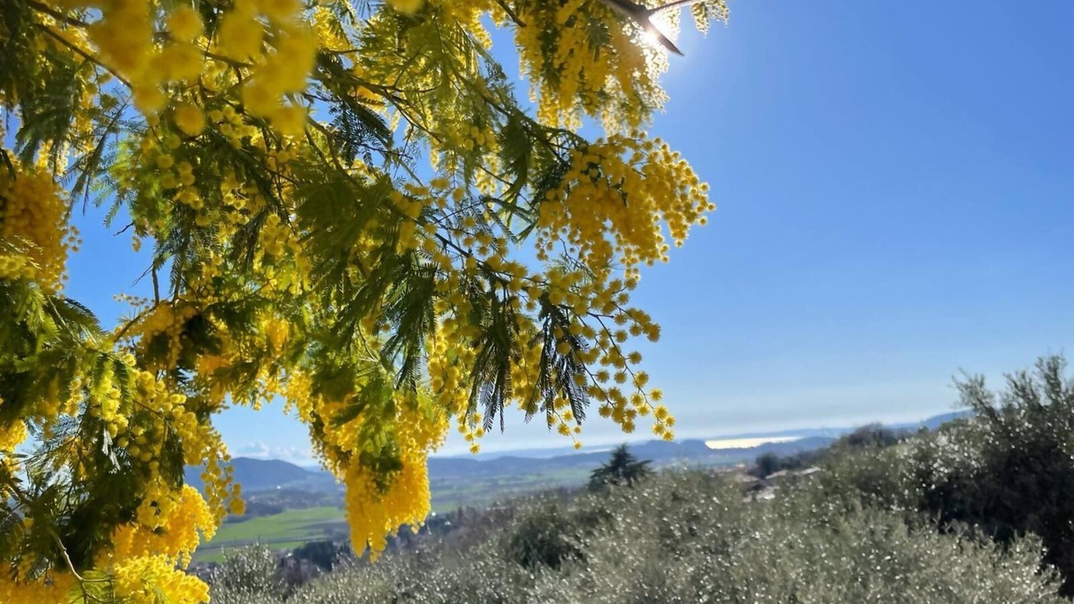 Bardolino Apartment | Dimora Borgo Gaon - Casa Elios