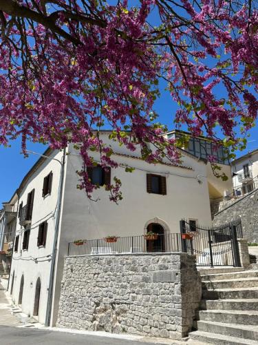 Cercepiccola House | Dimora Nobile