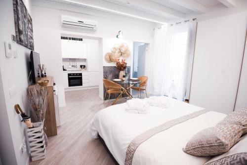Pavia Apartment | Dimora Palazzo delle Gabette - Centro Storico