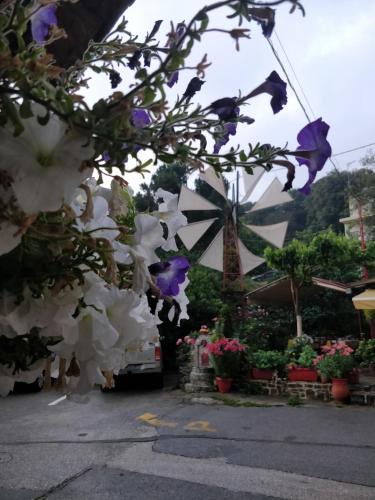 Magoulas House | Dionysus House Lasithi Plateau
