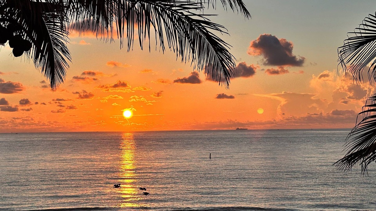 Bel Air Apartment | Direct Oceanfront Studio in Lauderdale by the Sea