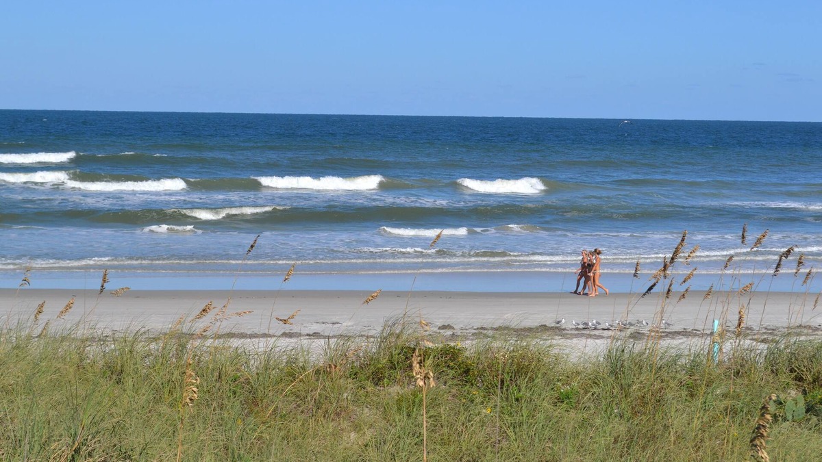 Daytona Beach Shores Condo | Direct OCEAN FRONT, Super Clean, GREAT REVIEWS, Cozy & Neighborly