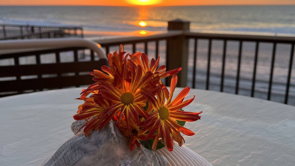 Garden City Condo | Direct Ocean Front! Beautiful Cabana End Unit GROUND FLOOR.rare find!